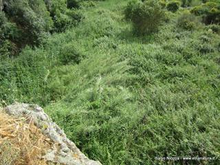 ndolito-24-05-2014 20-45-09